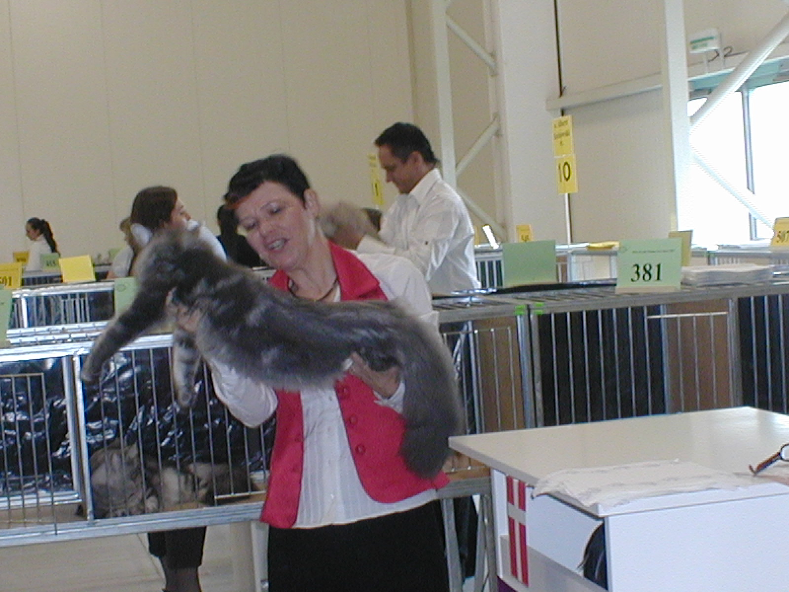P101bcxncvx0009 (34).JPG