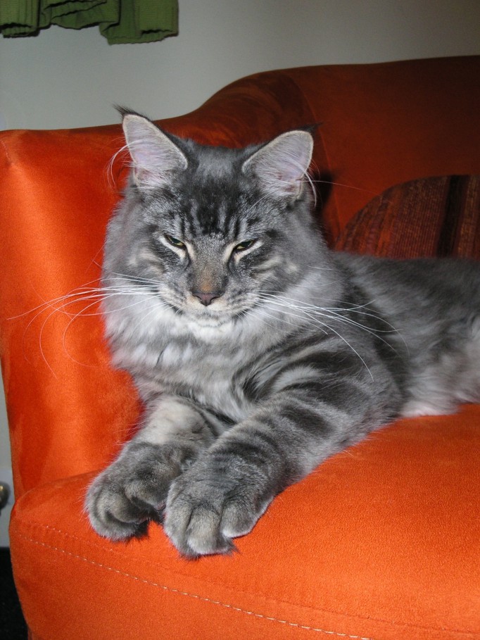PICT3251.JPG