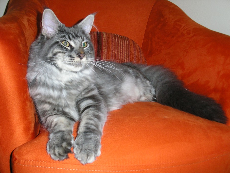 PICT3256.JPG