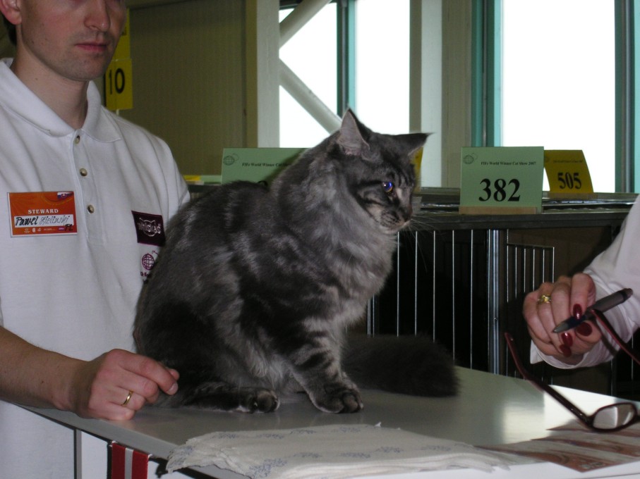 PICT3317.JPG