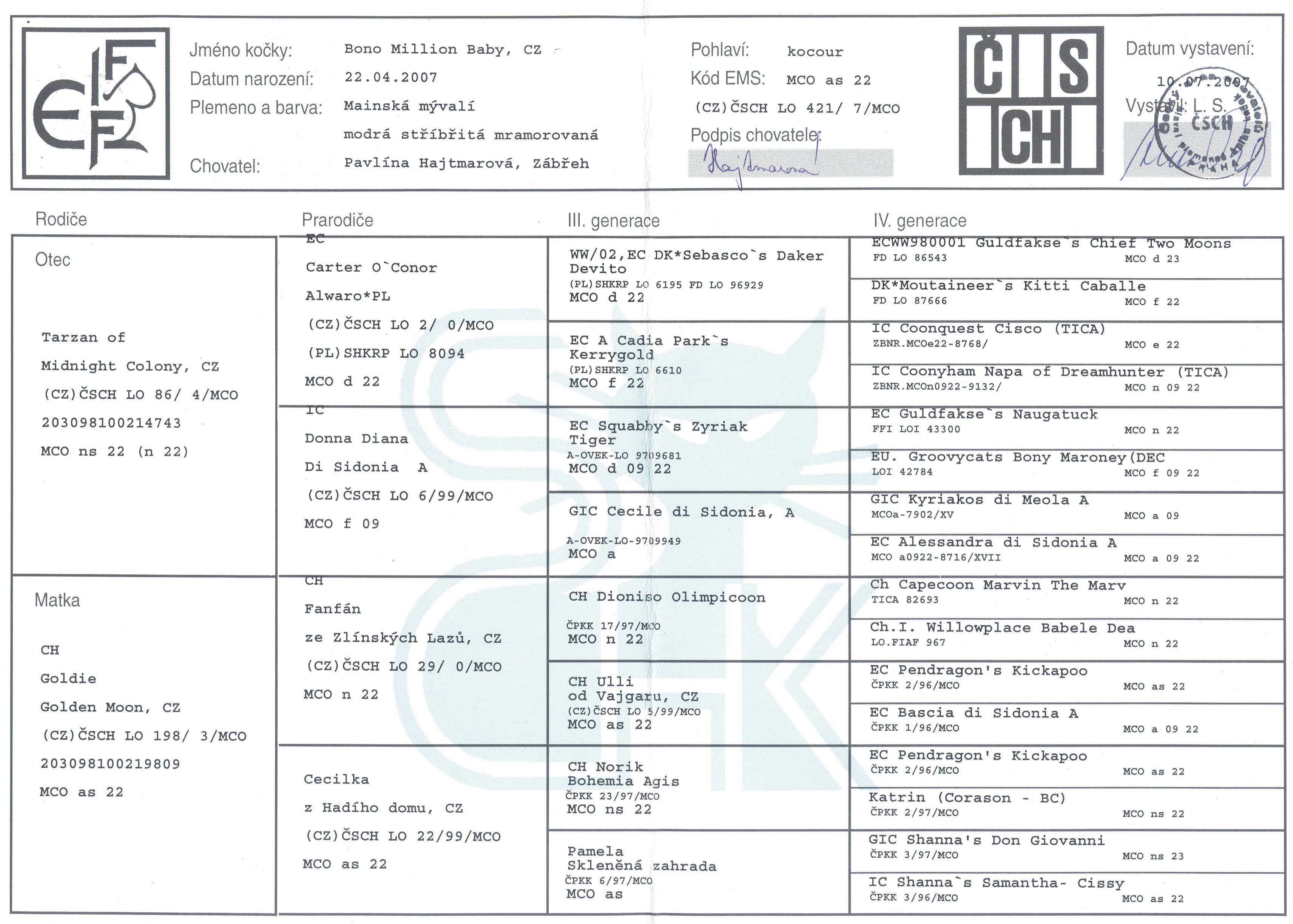 Bono_Million_Baby,_CZ_(pedigree).jpg